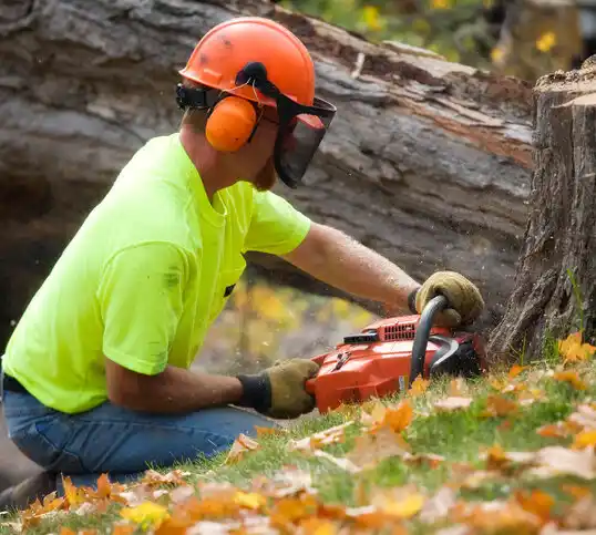 tree services Oneonta